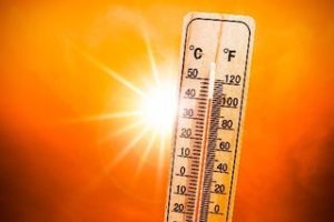 New study has revealed the most intense heatwaves ever across the world, also shows heatwaves are projected to get hotter in future with climate change