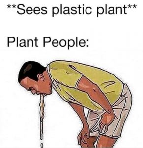 Every time I am out and about