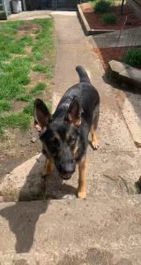 (OC)So today was the first day we hooked the hose back up for the year. The video says it all