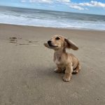 (OC) Loving that ocean breeze