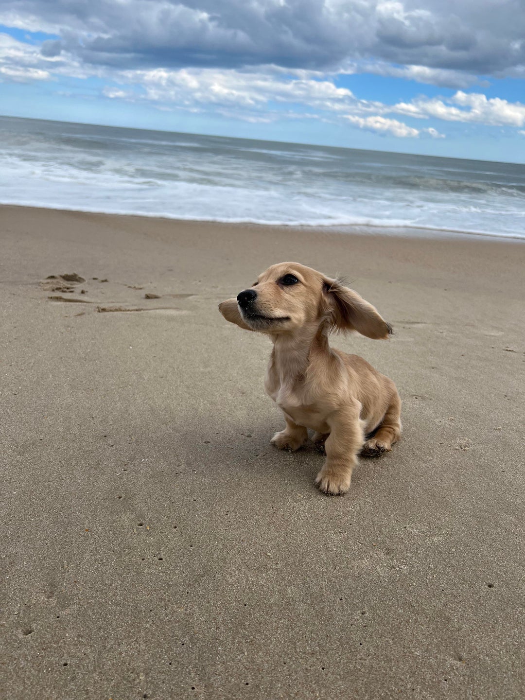 (OC) Loving that ocean breeze