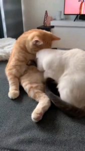We love being together