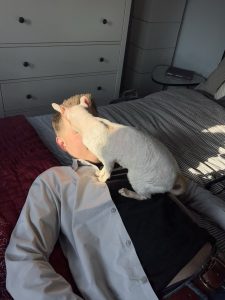 Our cat, Aja came back from her cardiology appointment high as a kite from sedatives because she was being too “wiggly” and they had to sedate her.