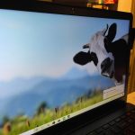 Wife got a new laptop, default background has me dying