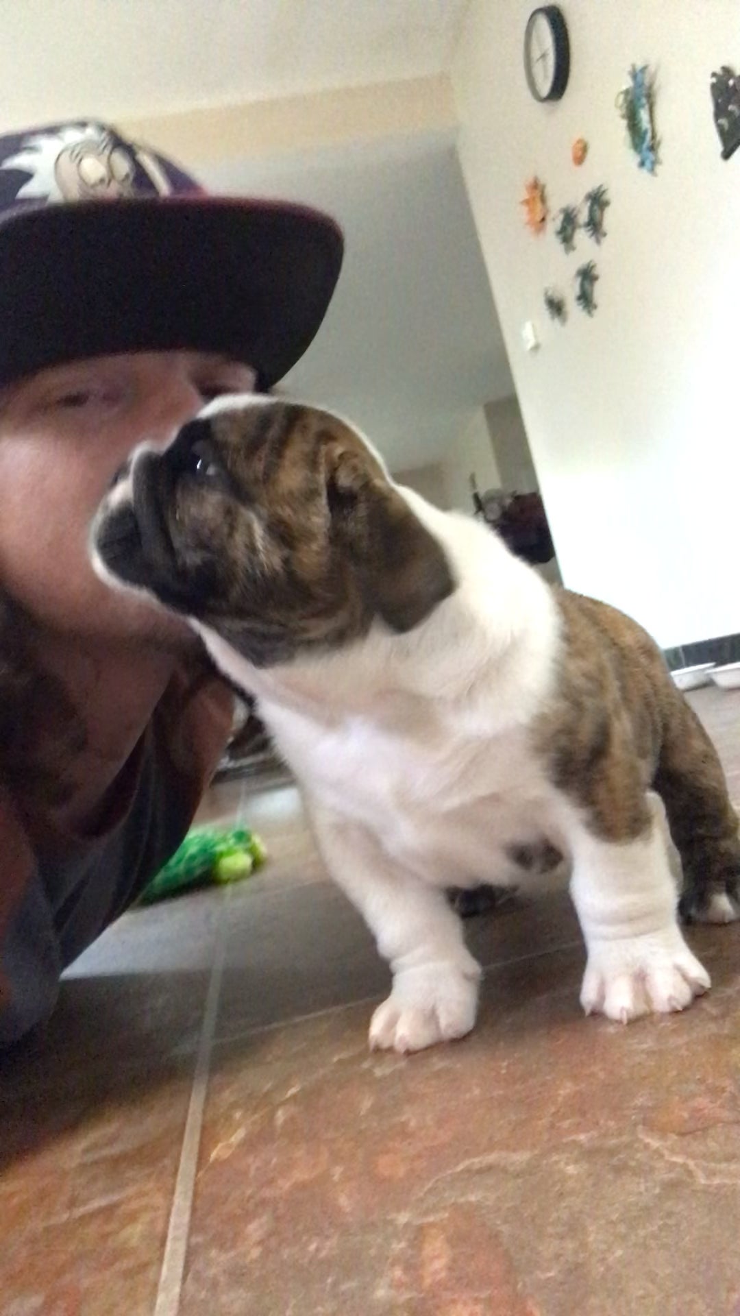 Well peeps, now I’m a proud puppy parent and I’m pleased to present this precious princess: Peaches 🍑 ❤️😊