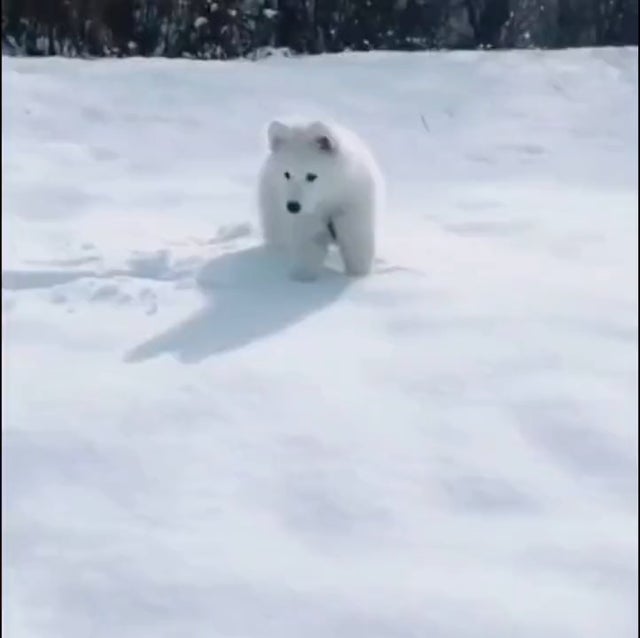 Life is always weird, but you have to be cute
