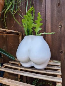 I bought a cheeky new planter