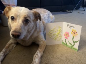My dog made a Mother’s Day card at daycare!