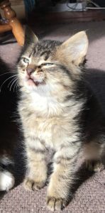 I swear she is adorable😅