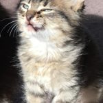 I swear she is adorable😅