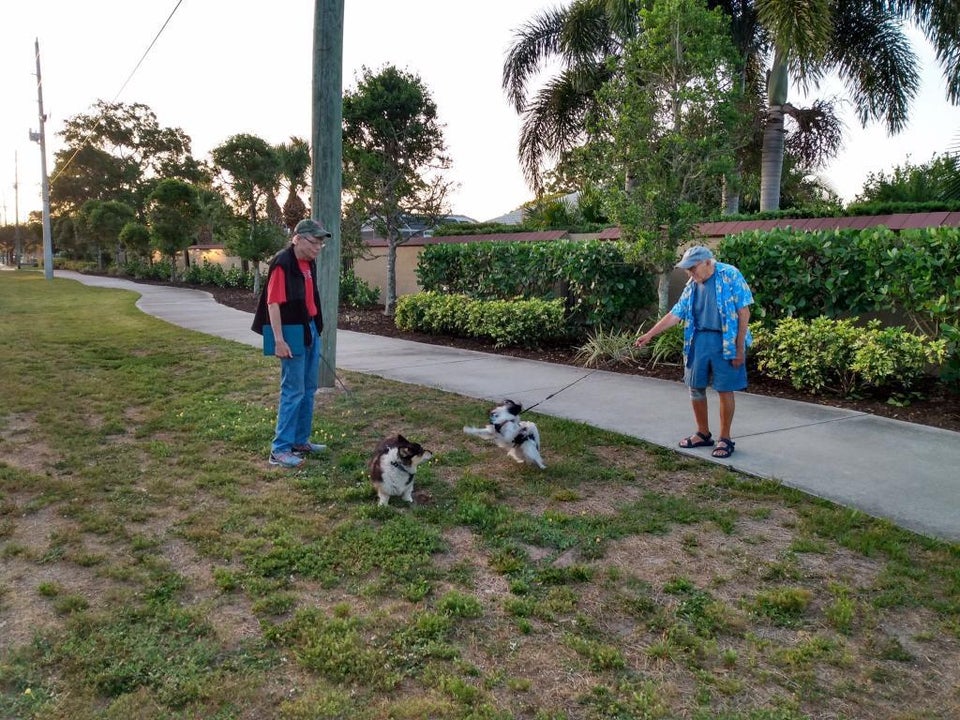 Found out today my great-uncle (right) is dog walking buddies with Stephen King (OC)