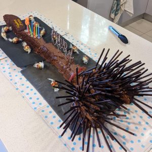 My loving wife spent hours on this Harry Potter broom cake for our kid and I'm a horrible husband