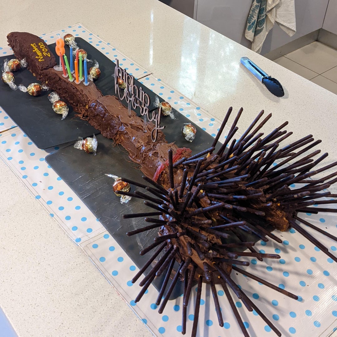 My loving wife spent hours on this Harry Potter broom cake for our kid and I'm a horrible husband