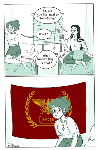 Is that a nazi flag?