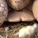 rise and shine... oops