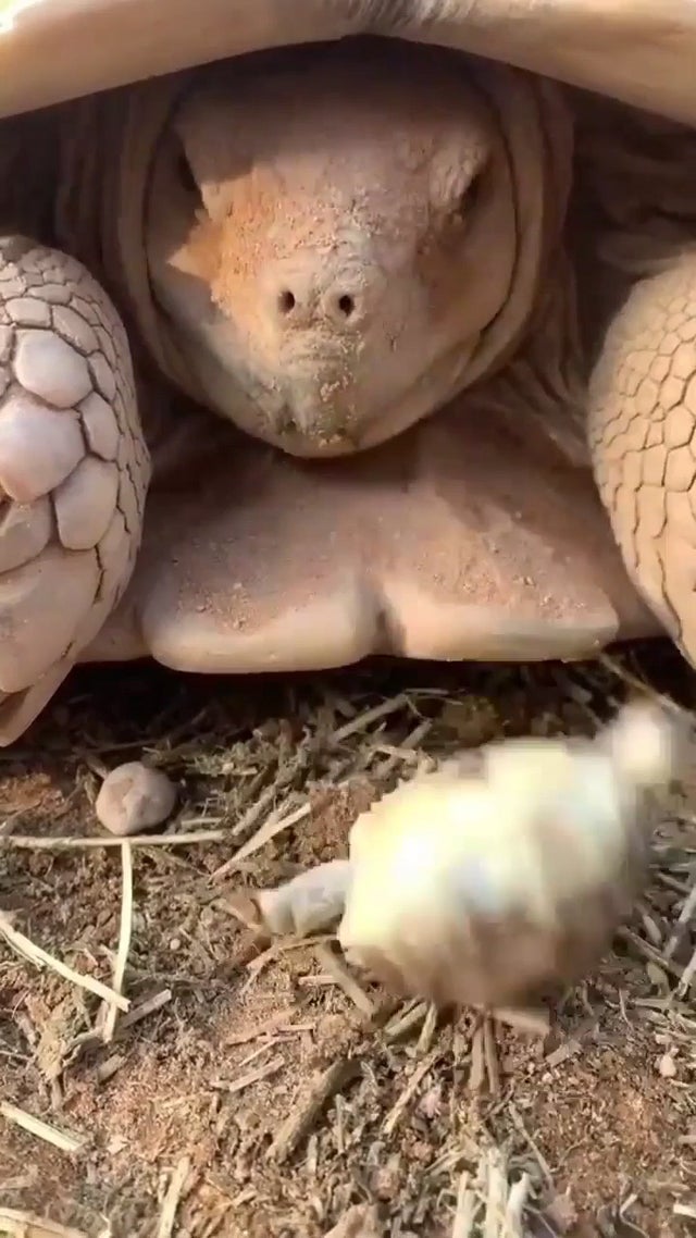 rise and shine... oops