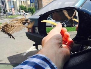 Actual photo representing the rolling shutter effect. Can you spot the anomaly?