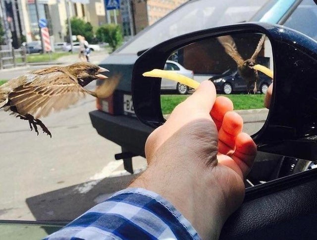 Actual photo representing the rolling shutter effect. Can you spot the anomaly?