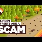 The Carbon Offset Problem