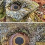 Archaeology frost formation on a rock, resembling a fish eye