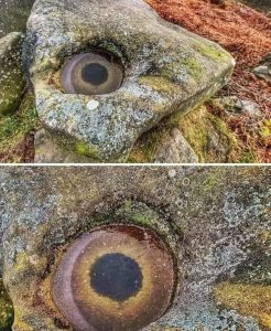 Archaeology frost formation on a rock, resembling a fish eye