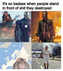 Ratatouille’s revenge