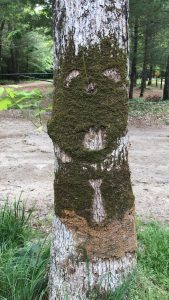 I walked by this mold on a tree one day and it looked like a face. I went there another day and it looked like somebody added a tie.