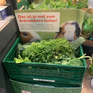 free vegetable leaves for pets in my local supermarket‘s produce section