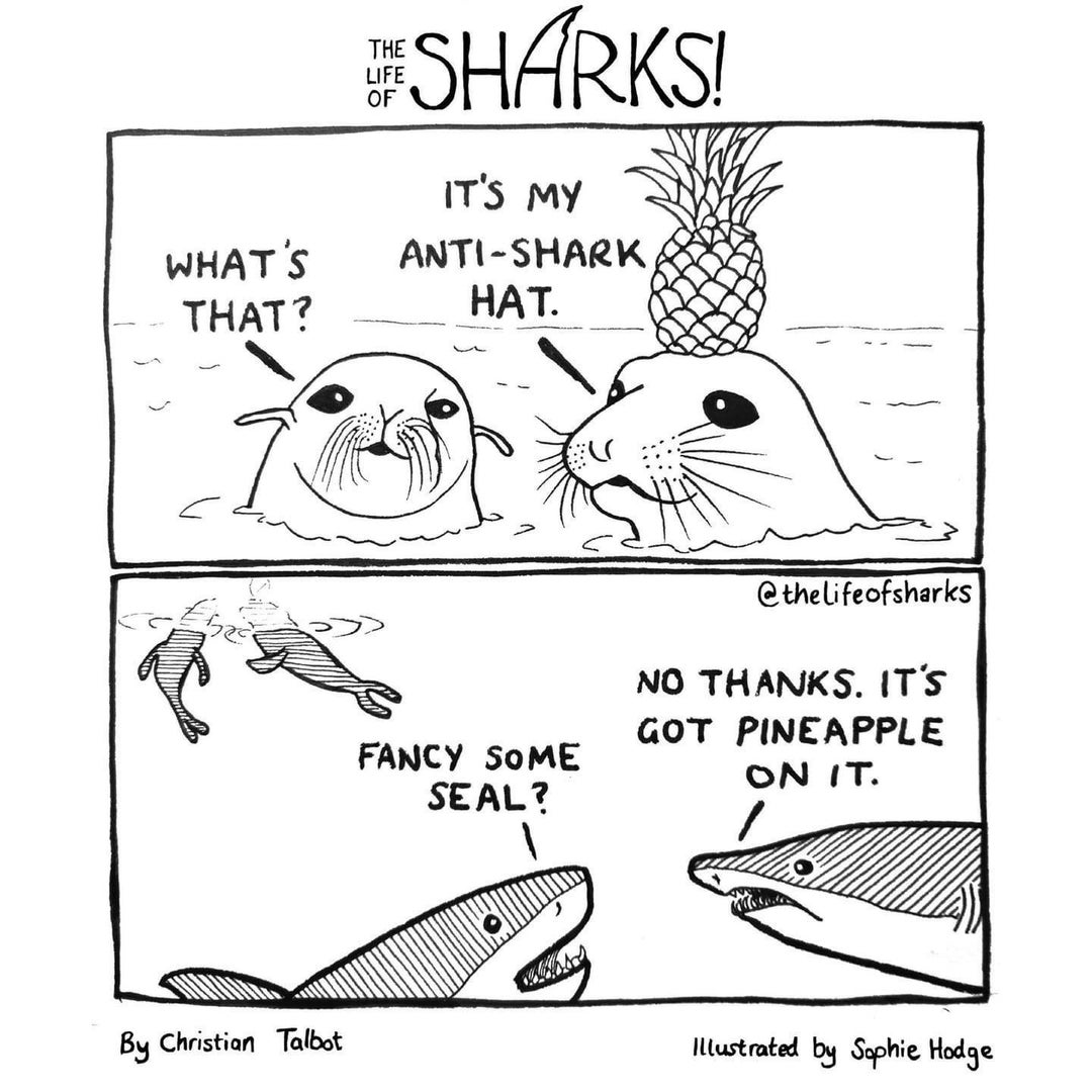 Anti-Shark Hat [OC]