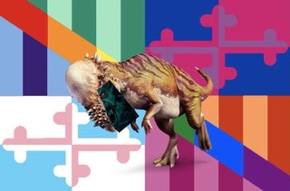 new lgbtq flag but I'm reusing an old joke on someone trying a new joke