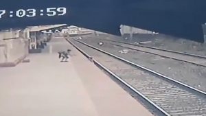 A boy was guiding his blind mother and accidentally fell onto the tracks. A railway employee spotted him and saved his life.