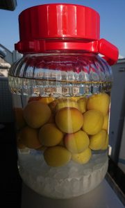 Summer is upon us and it's time to prepare umeshu!