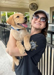 (OC) A future guide dog off to puppy kindergarten!
