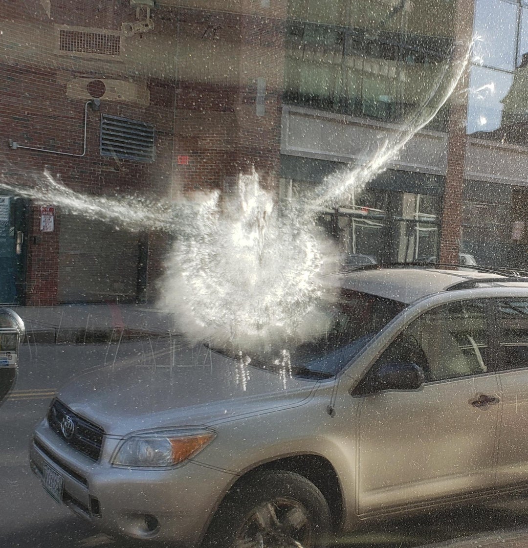 A fat pigeon nailed a window where I work. Pigeon is fine.