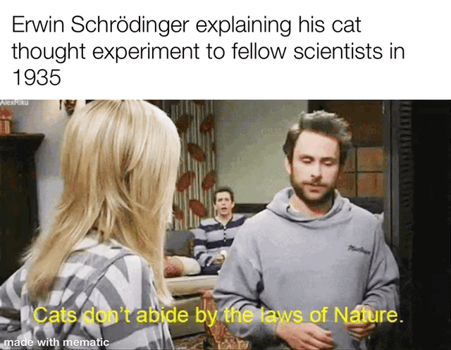 Wo ist die Katze?