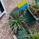 Can someone identify this flag?