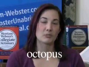 Got more than one Octopus here's how to introduce them Correctly
