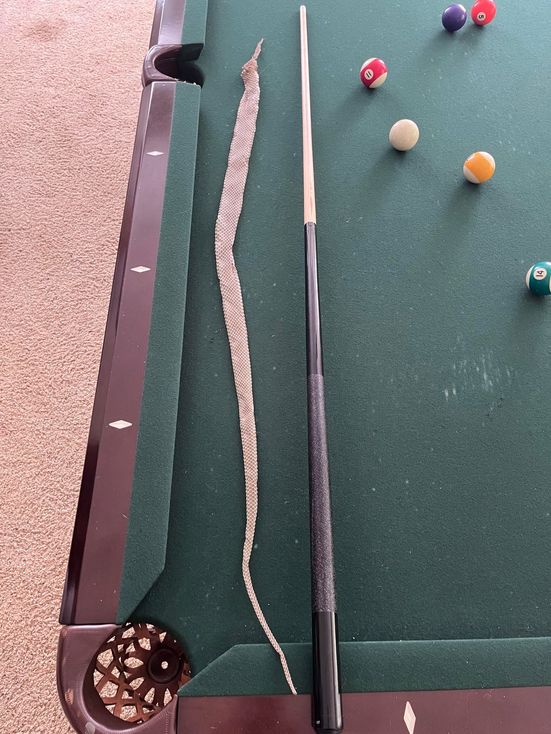 Found a snakeskin in our basement the other day. Still cant find the snake