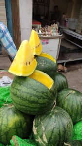 Yellow watermelon