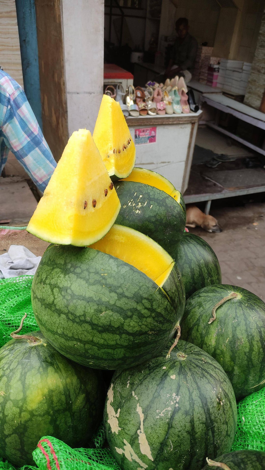 Yellow watermelon