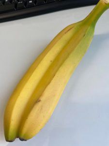 Two connected bananas