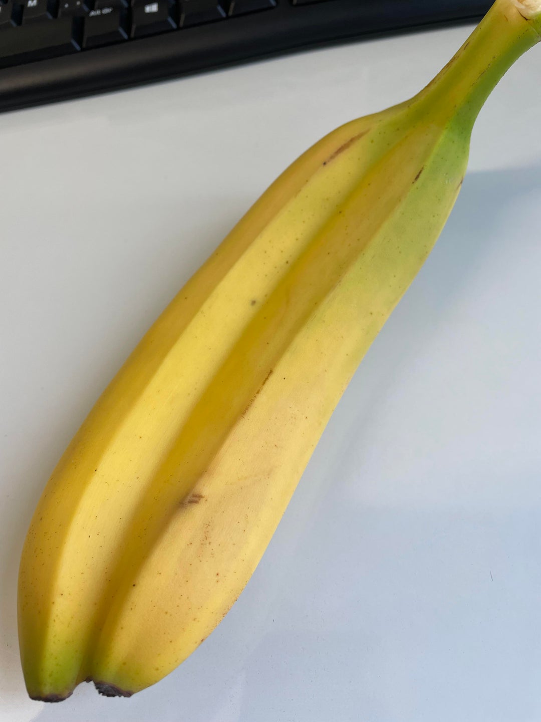 Two connected bananas