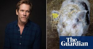 TIL Kevin Bacon founded an organization that re-homes rescued factory farm pigs.