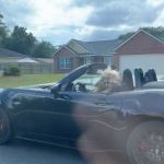 lady driving with her raccoon