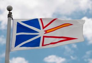 Christopher Pratt, the designer of the flag of Newfoundland and Labrador has recently passed away. as a tribute , im posting his flag here. RIP