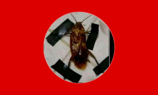 nazi german flag but cockroach