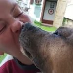 How close are you with your pet?