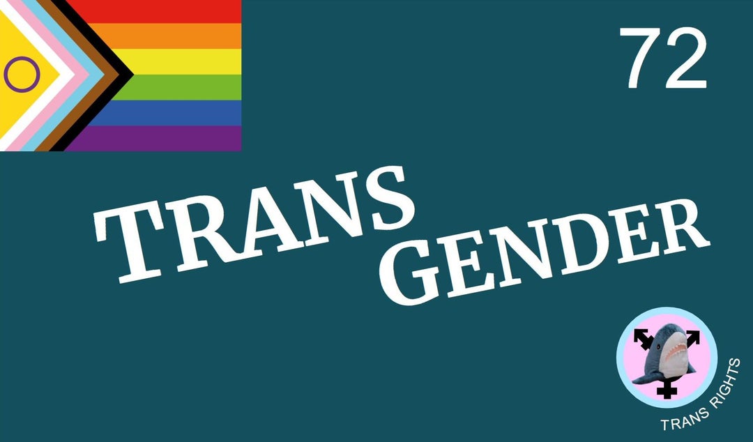Transgender flag in the style of the unofficial 1915 New Mexico flag