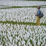 Universal Health Care Could Have Saved More Than 330,000 U.S. Lives during COVID