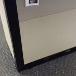 Someone spilled hole-punch confetti by my cubicle. I tacked up a pic of Rip Taylor.